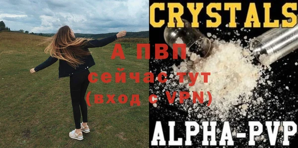 PSILOCYBIN Абаза