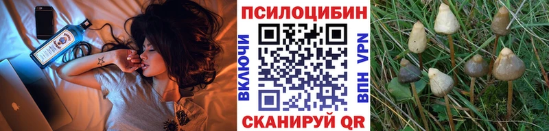 Псилоцибиновые грибы Cubensis  мега ССЫЛКА  Александров 