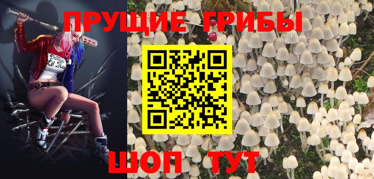 Псилоцибиновые грибы Magic Shrooms Александров