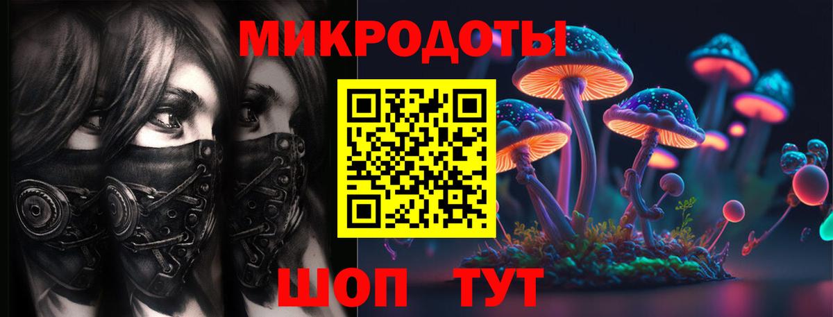 где можно купить наркотик  Псилоцибиновые грибы Cubensis  Вход с VPN  Александров  Псилоцибиновые грибы ЛСД 